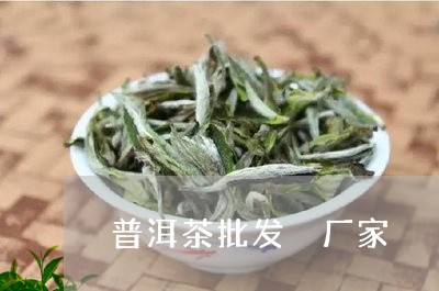 普洱茶批发 厂家/2023041066571